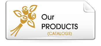 Our Products